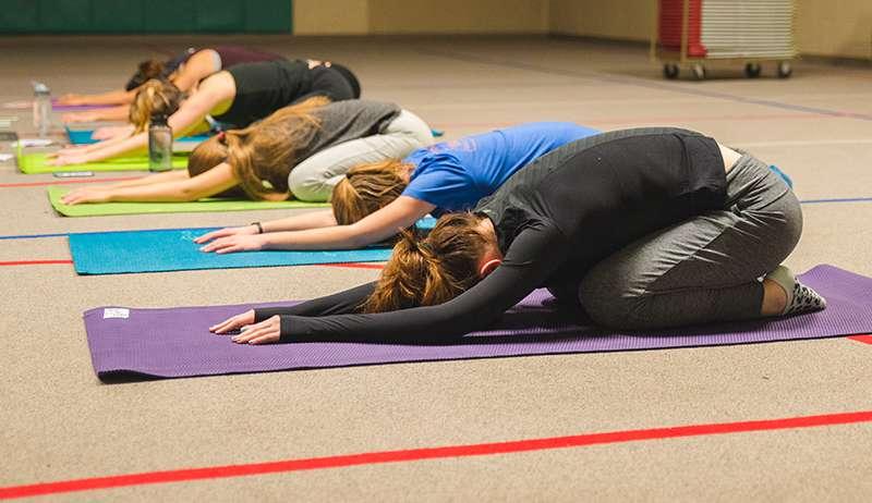 Students doing yoga